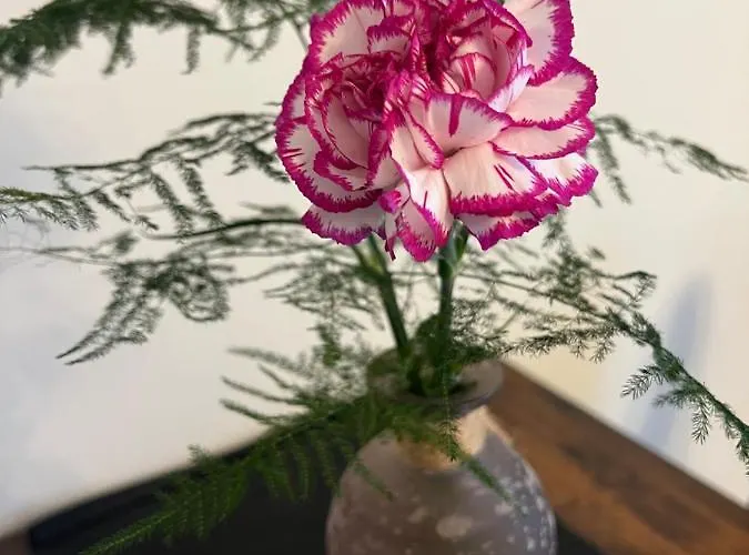 Juna Mit Tg Stellplatz